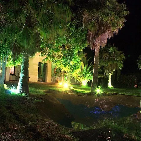Arte Vida Hotel